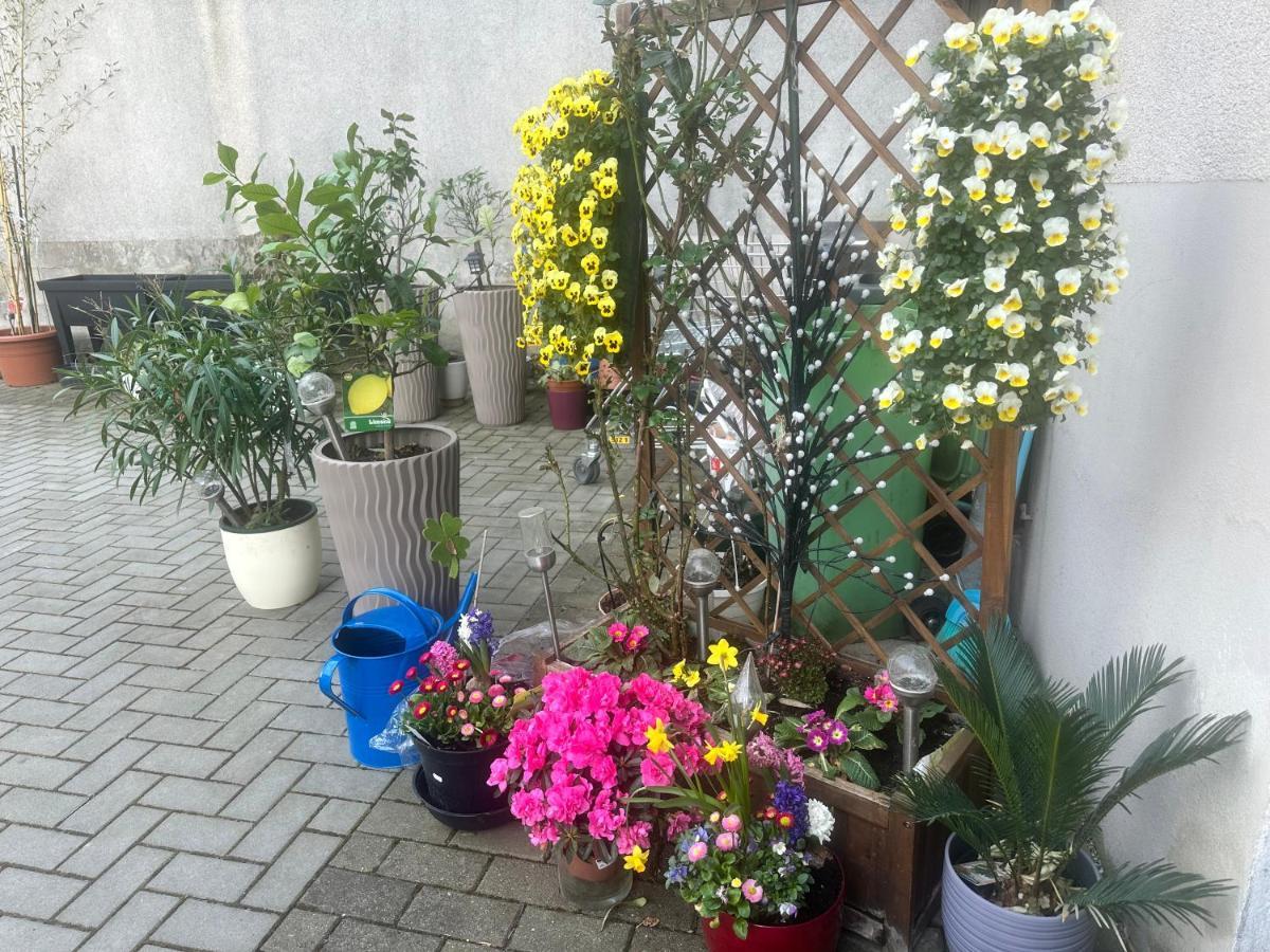 Apartmán Kaethe-Kollwitz-Strasse 54, F2 Altenburg Exteriér fotografie